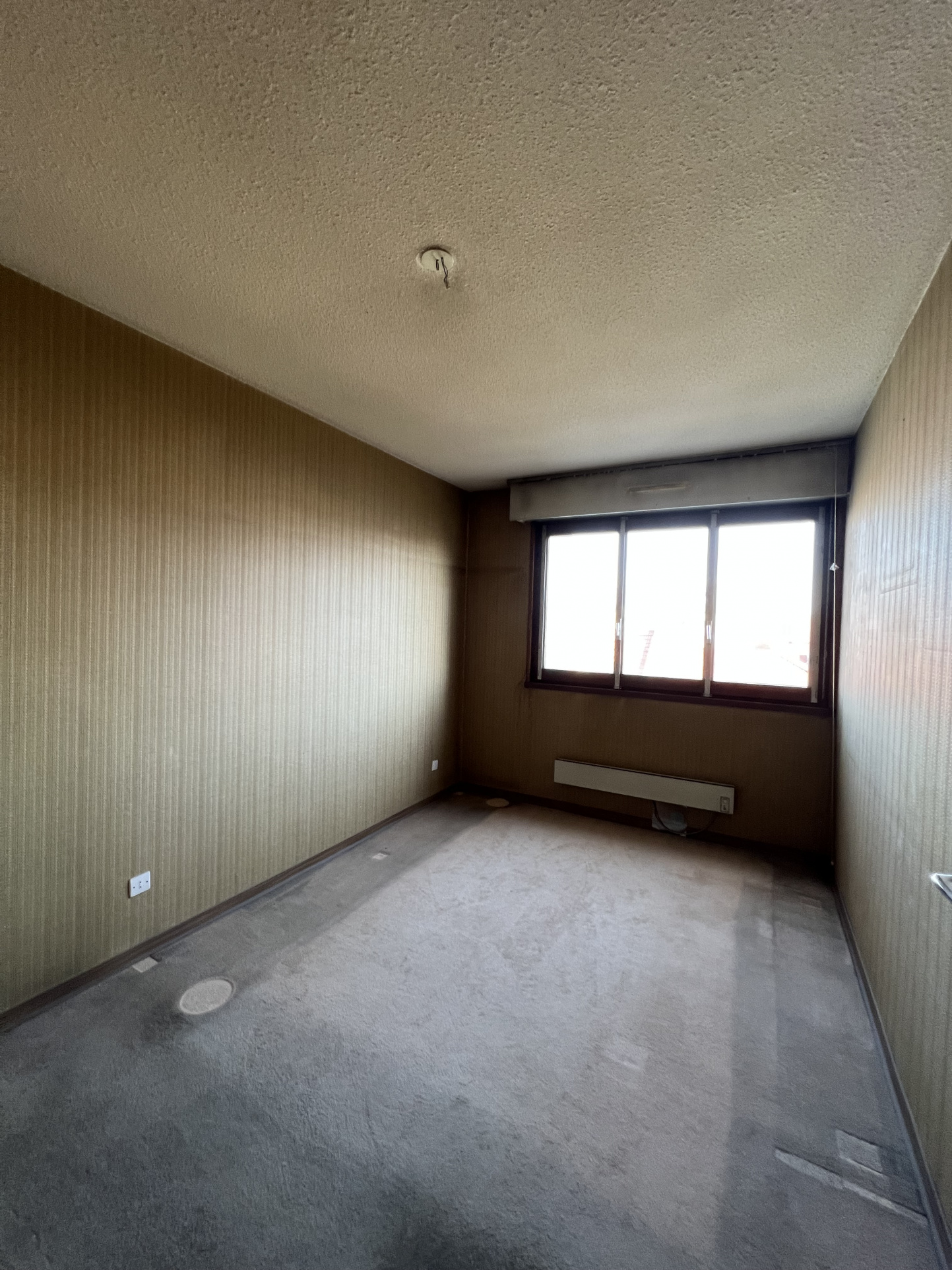 Appartement - Strasbourg
