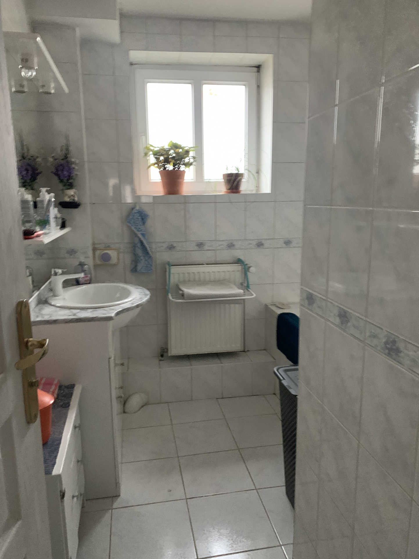 Appartement - Schiltigheim