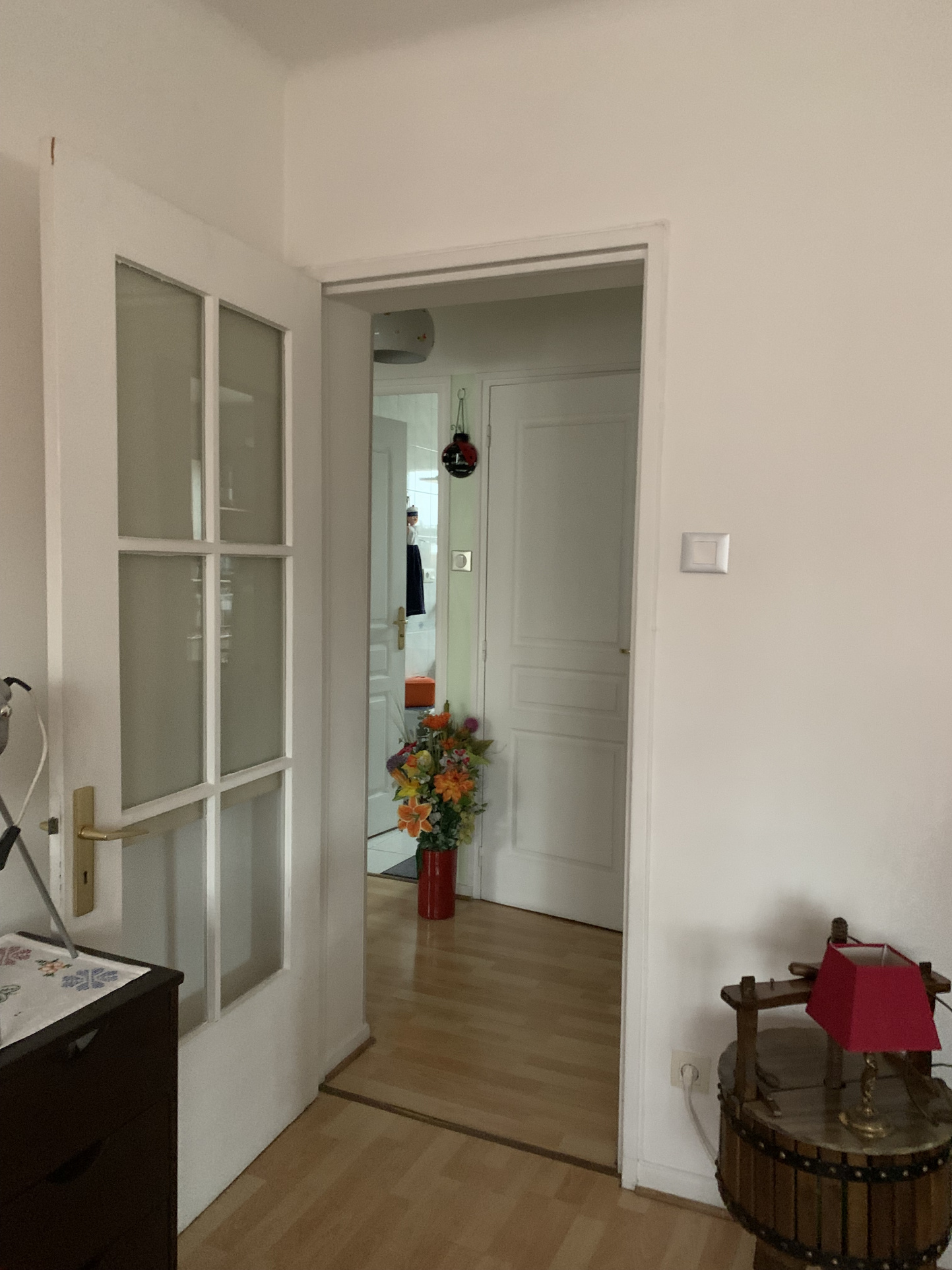 Appartement - Schiltigheim