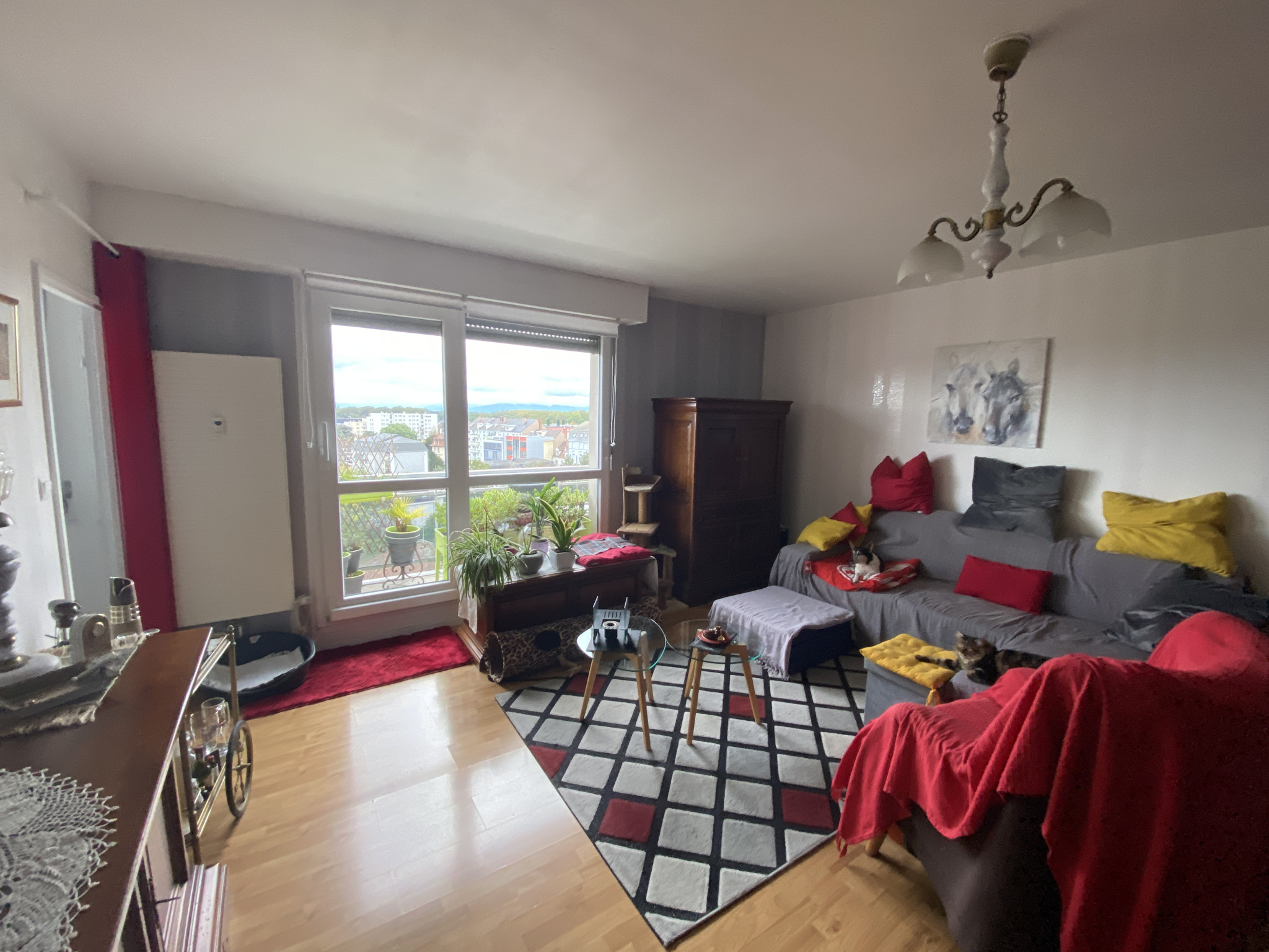 Appartement - Strasbourg
