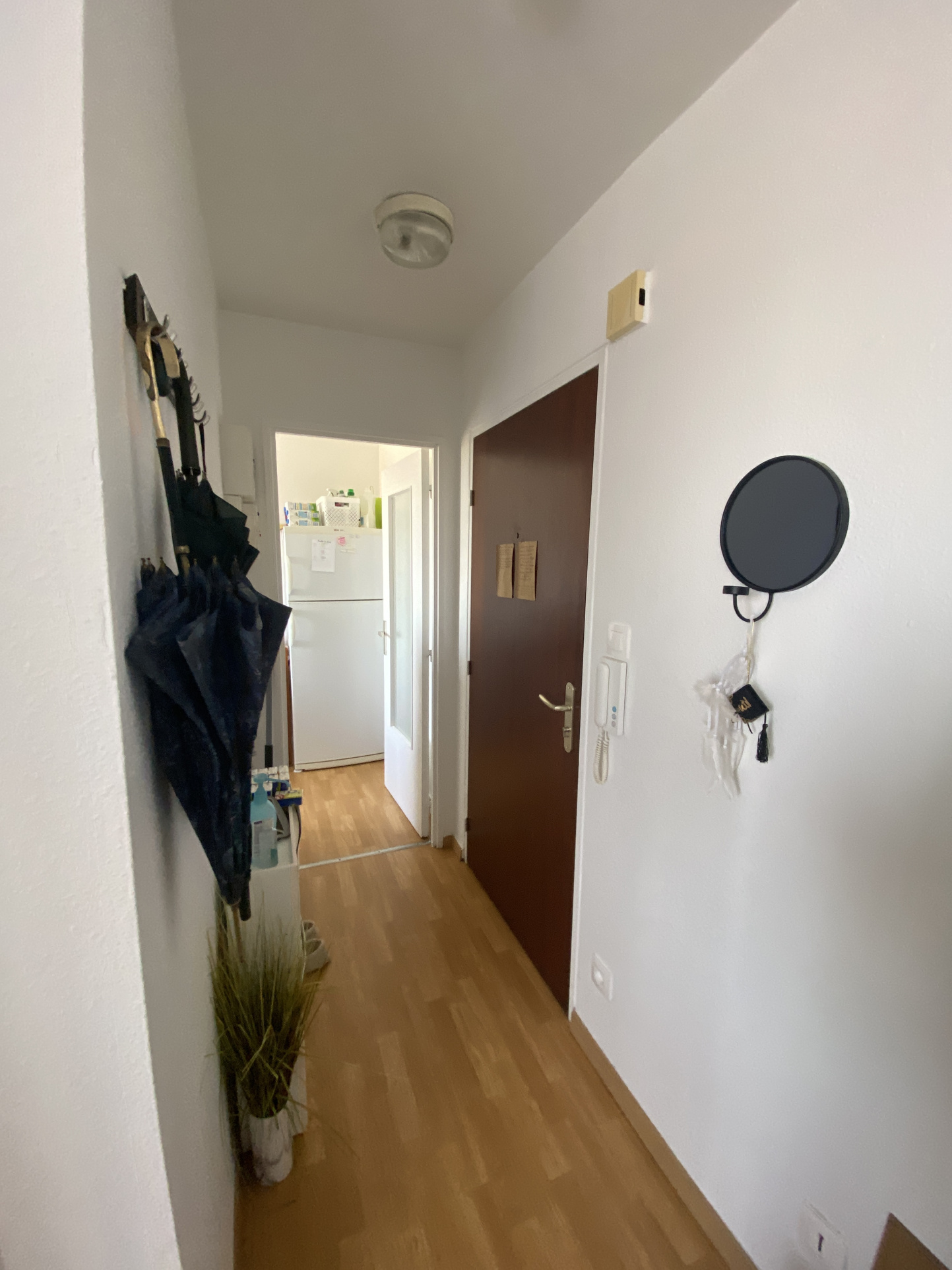Appartement - Wolfisheim