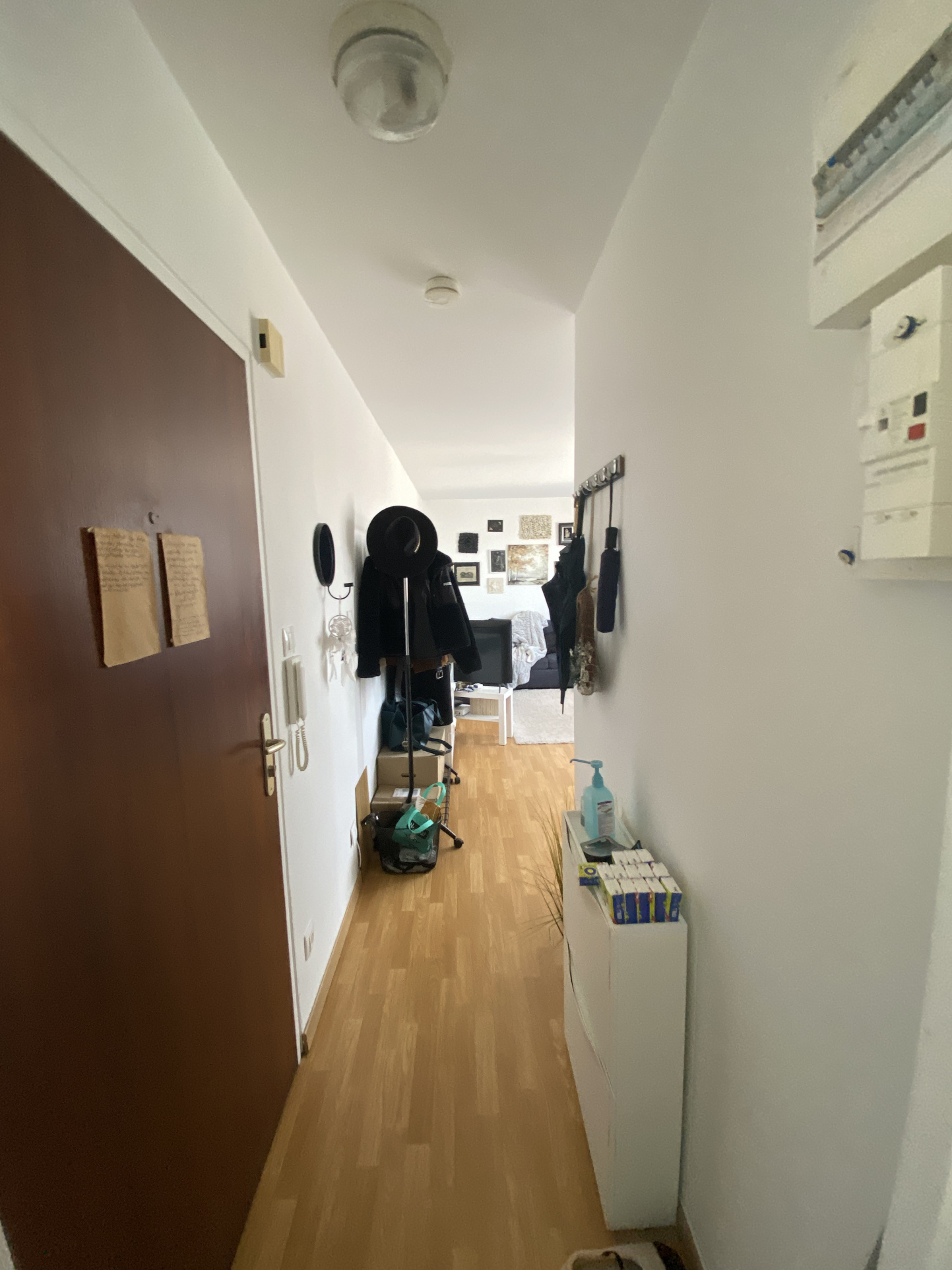 Appartement - Wolfisheim