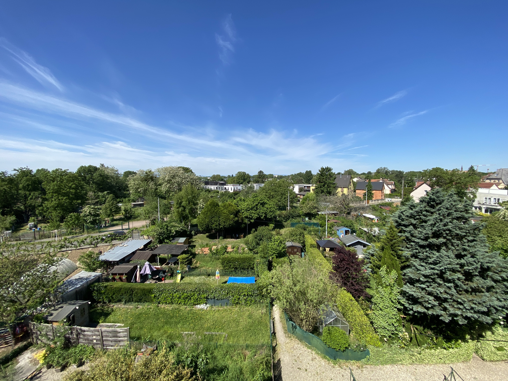 Appartement - Strasbourg