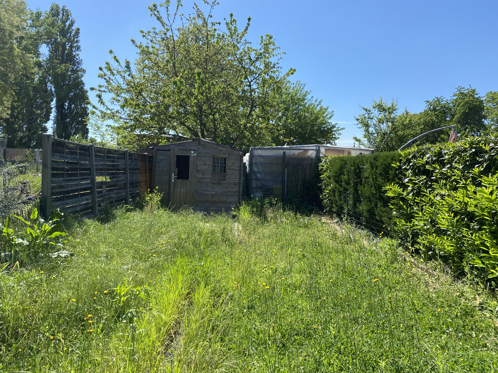 Appartement - Strasbourg