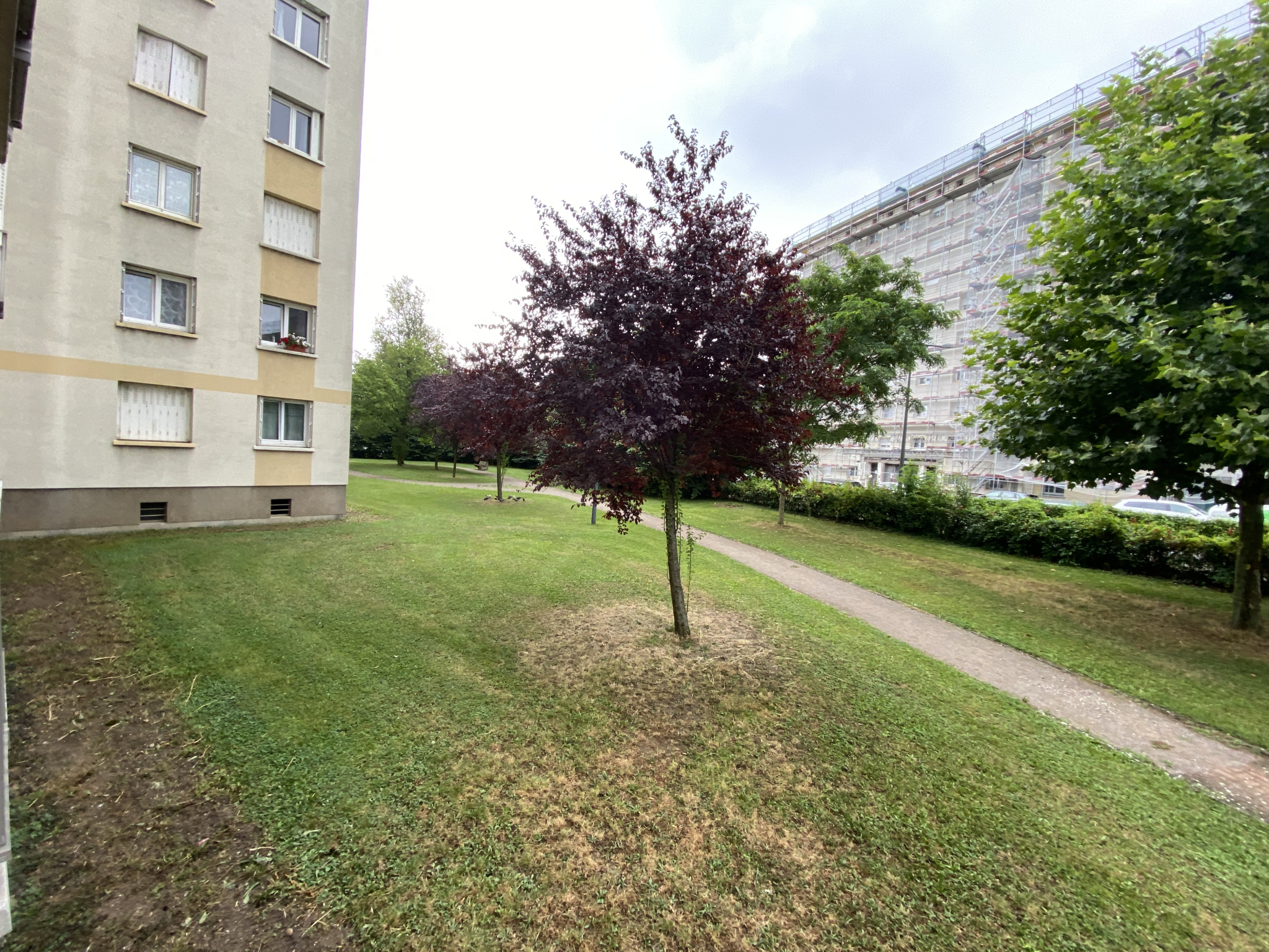 Appartement - Strasbourg