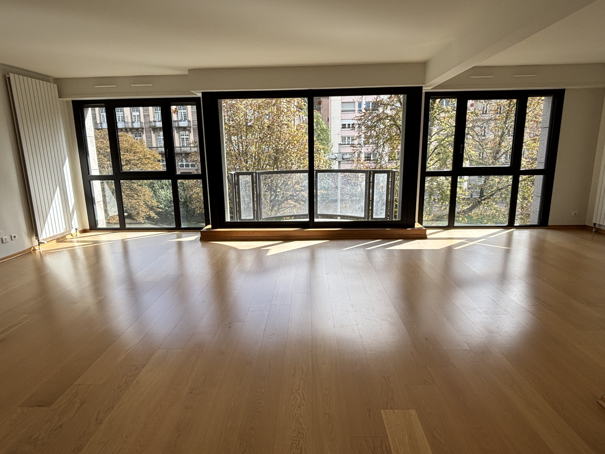 Appartement - Strasbourg