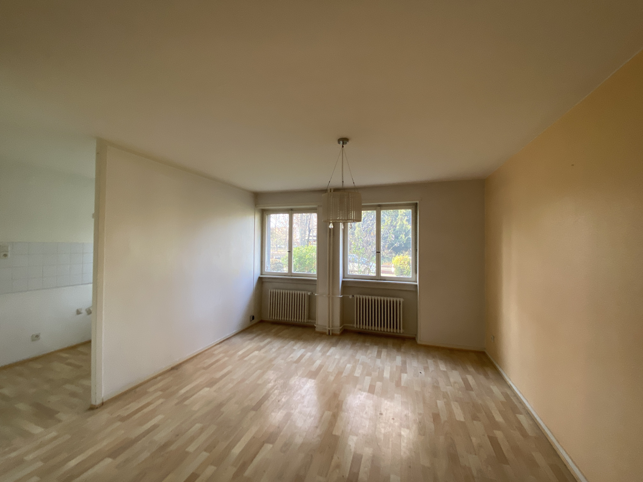 Appartement - Strasbourg