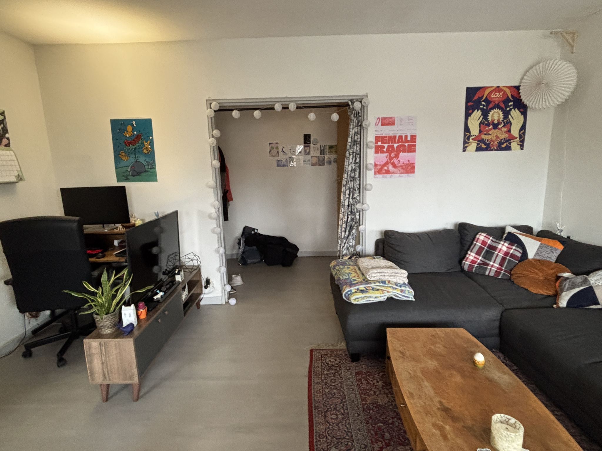 Appartement - Strasbourg