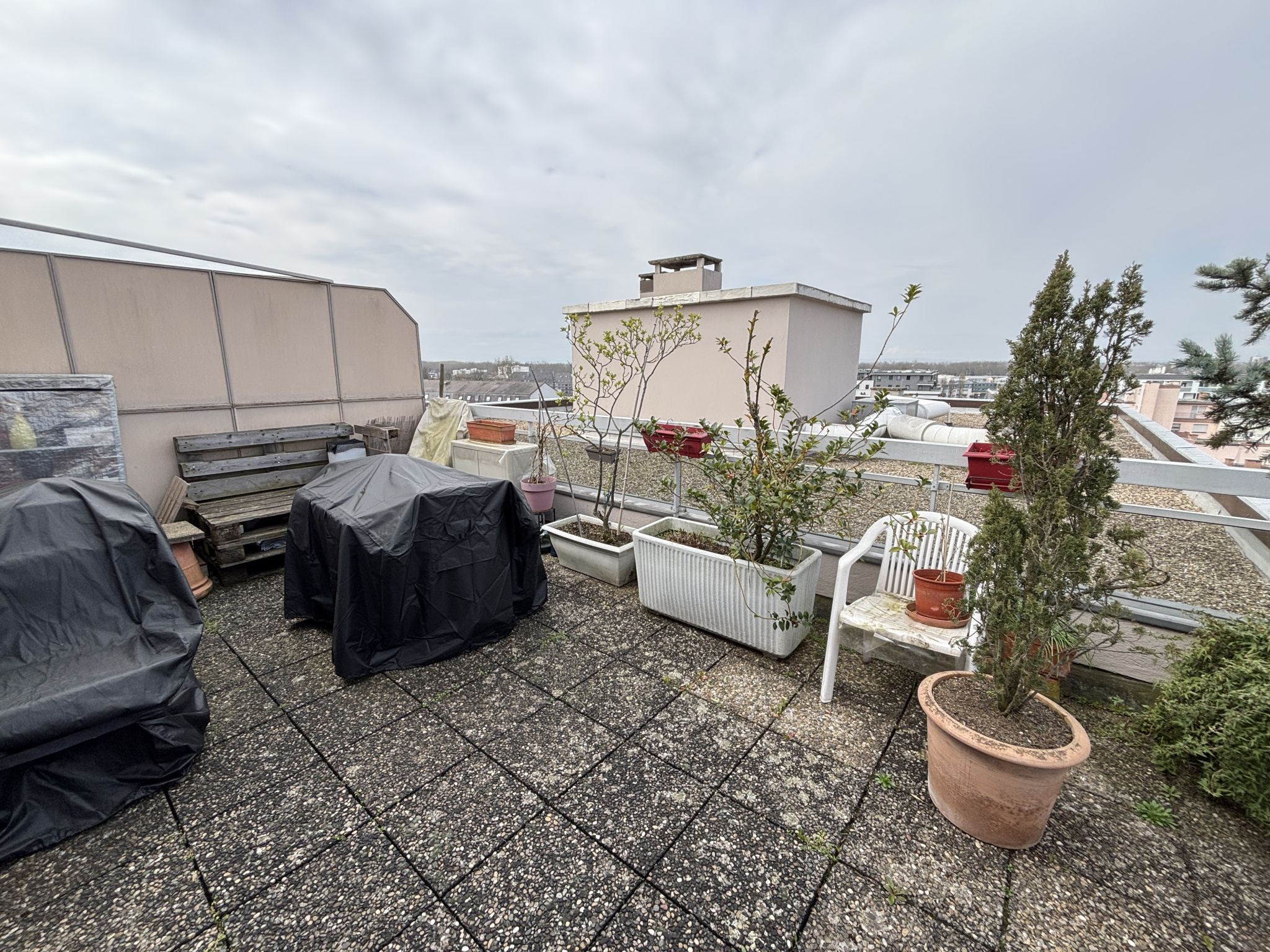 Appartement - Strasbourg