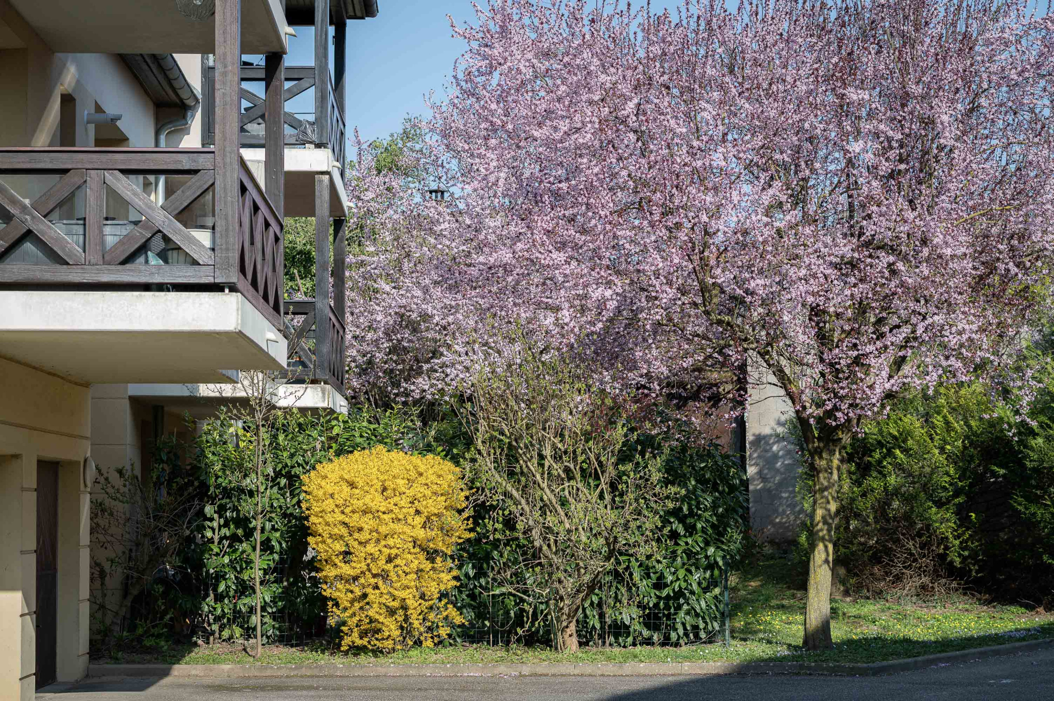 Appartement - Berstett