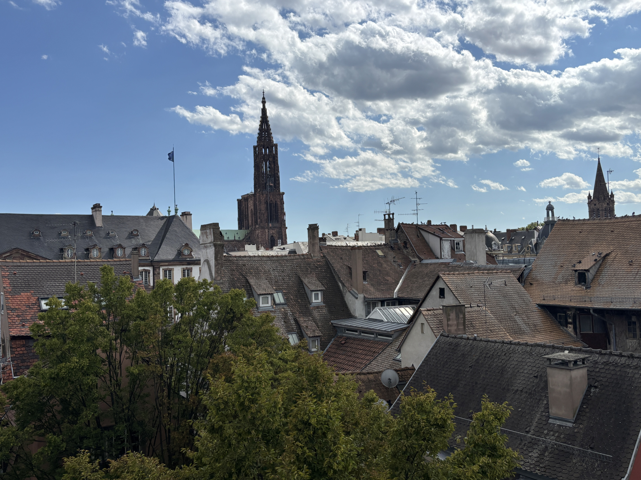 Appartement - Strasbourg