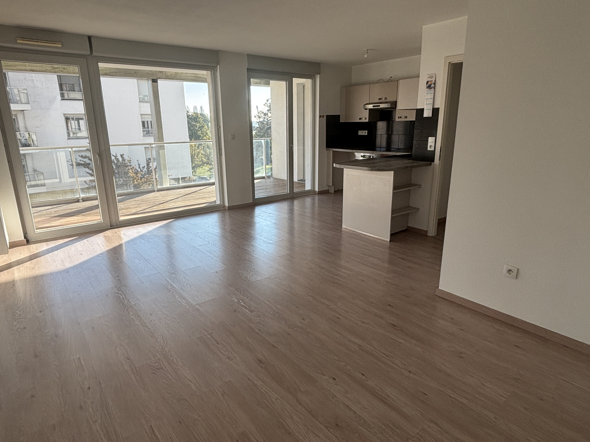 Appartement - Strasbourg