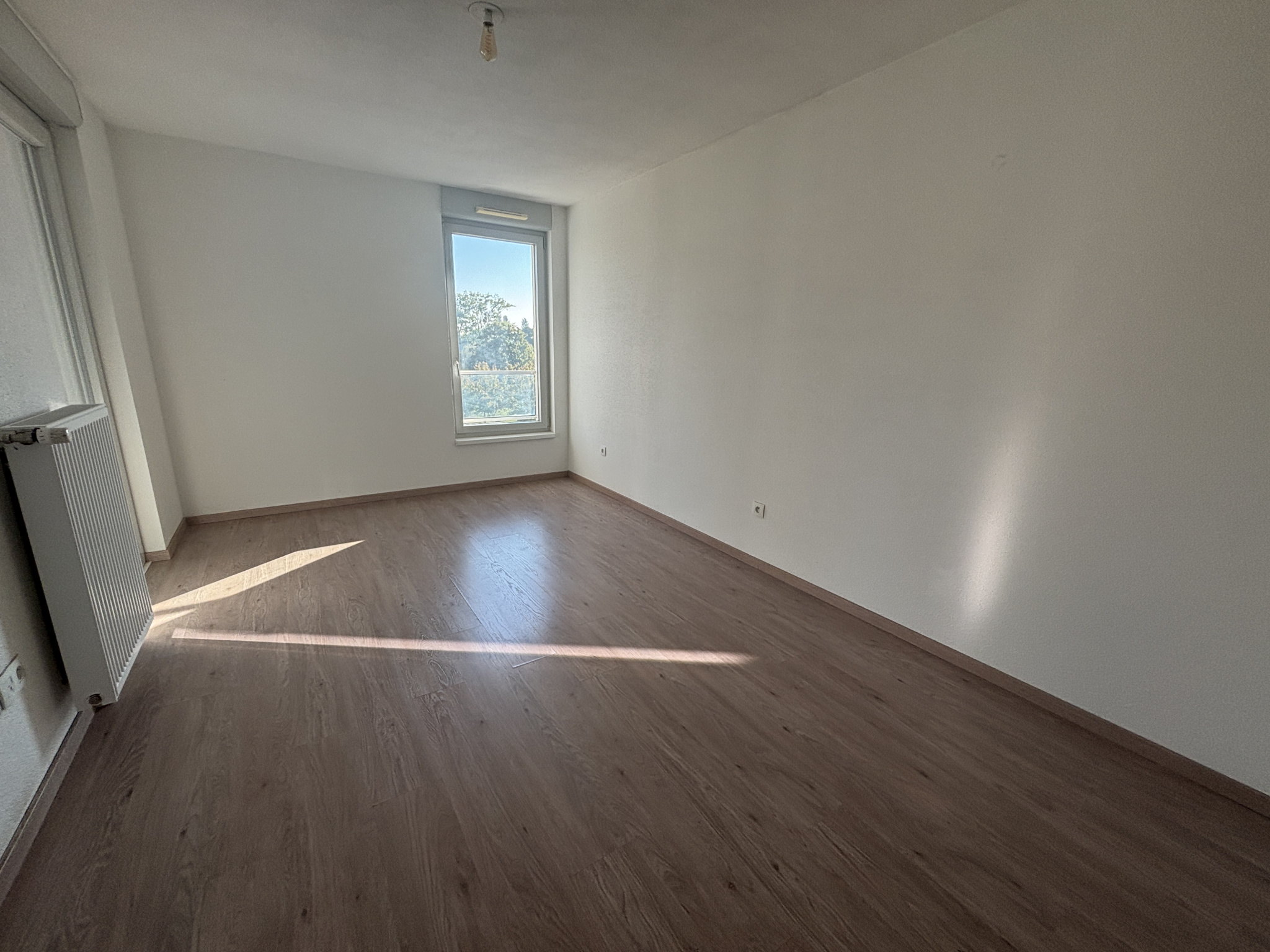 Appartement - Strasbourg