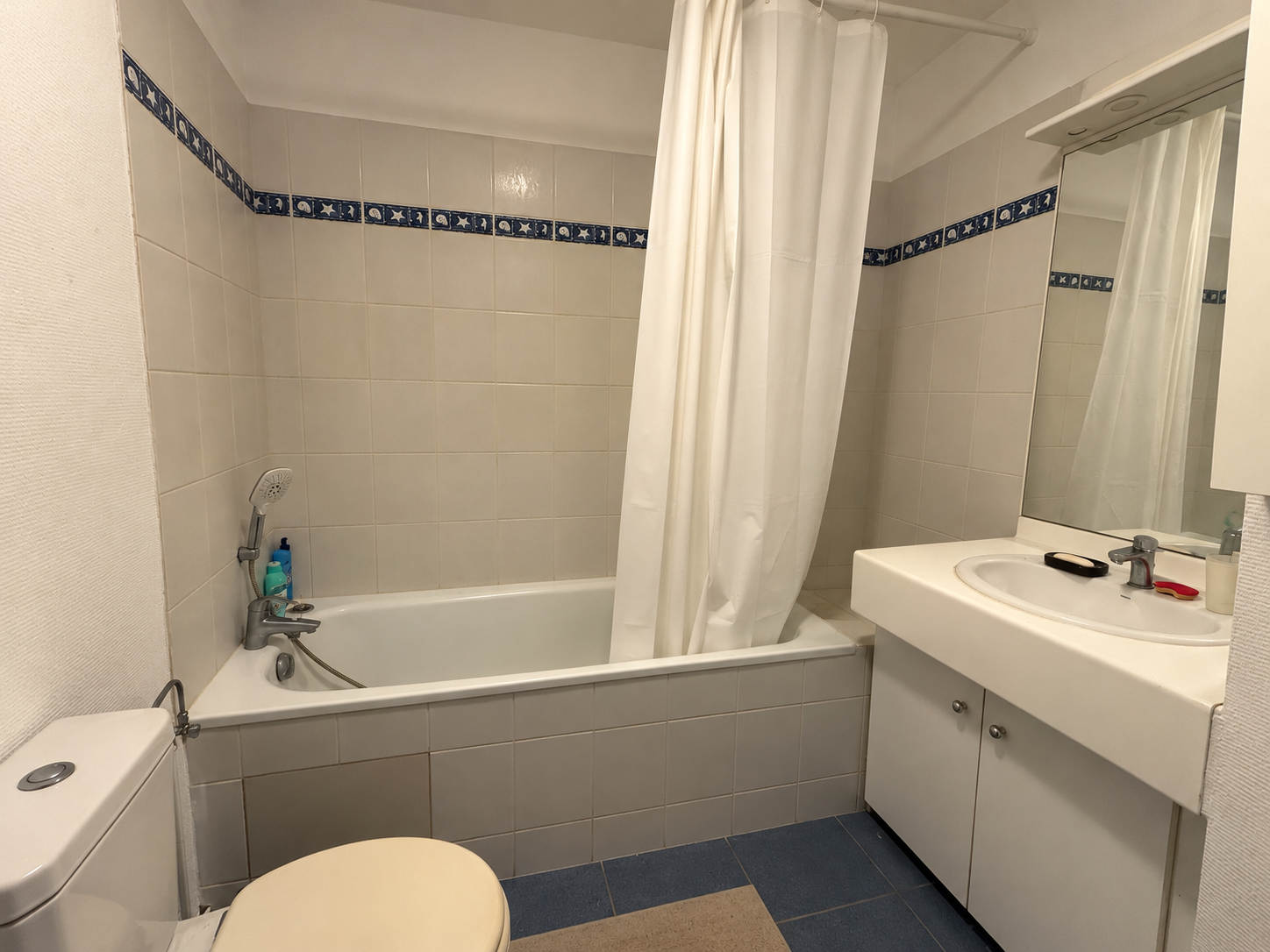 Appartement - Schiltigheim