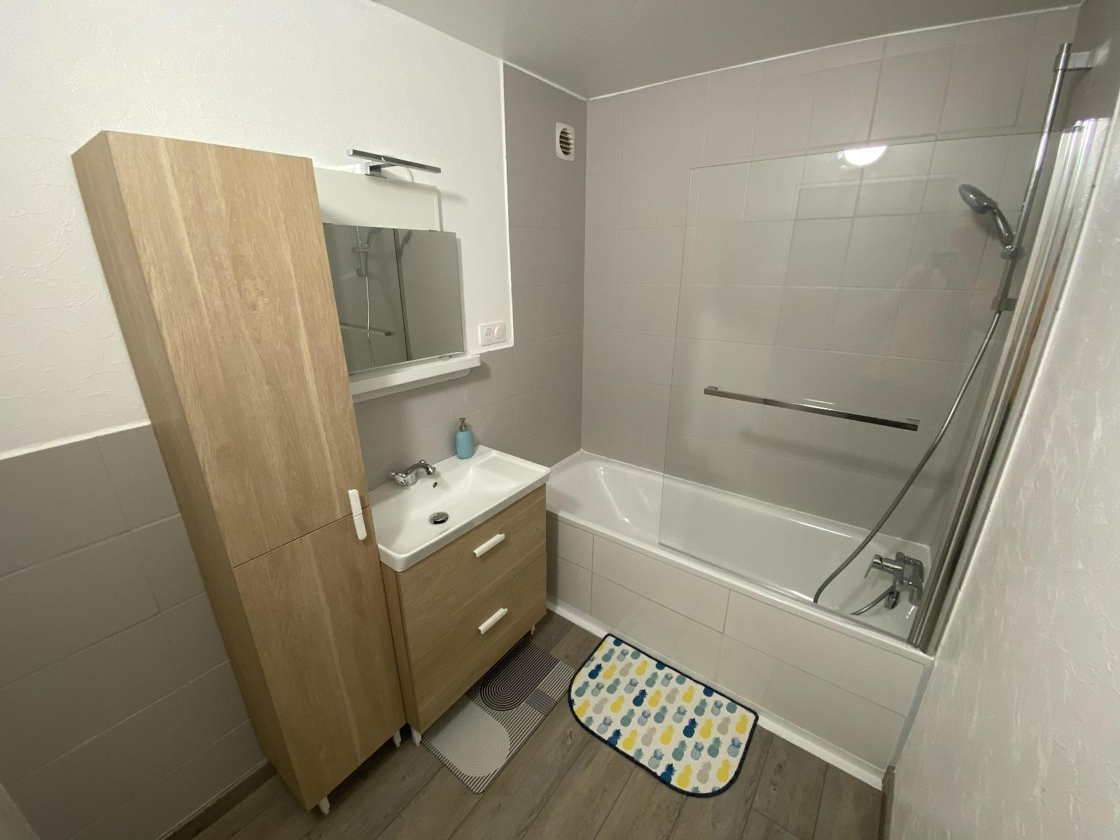 Appartement - SCHILTIGHEIM