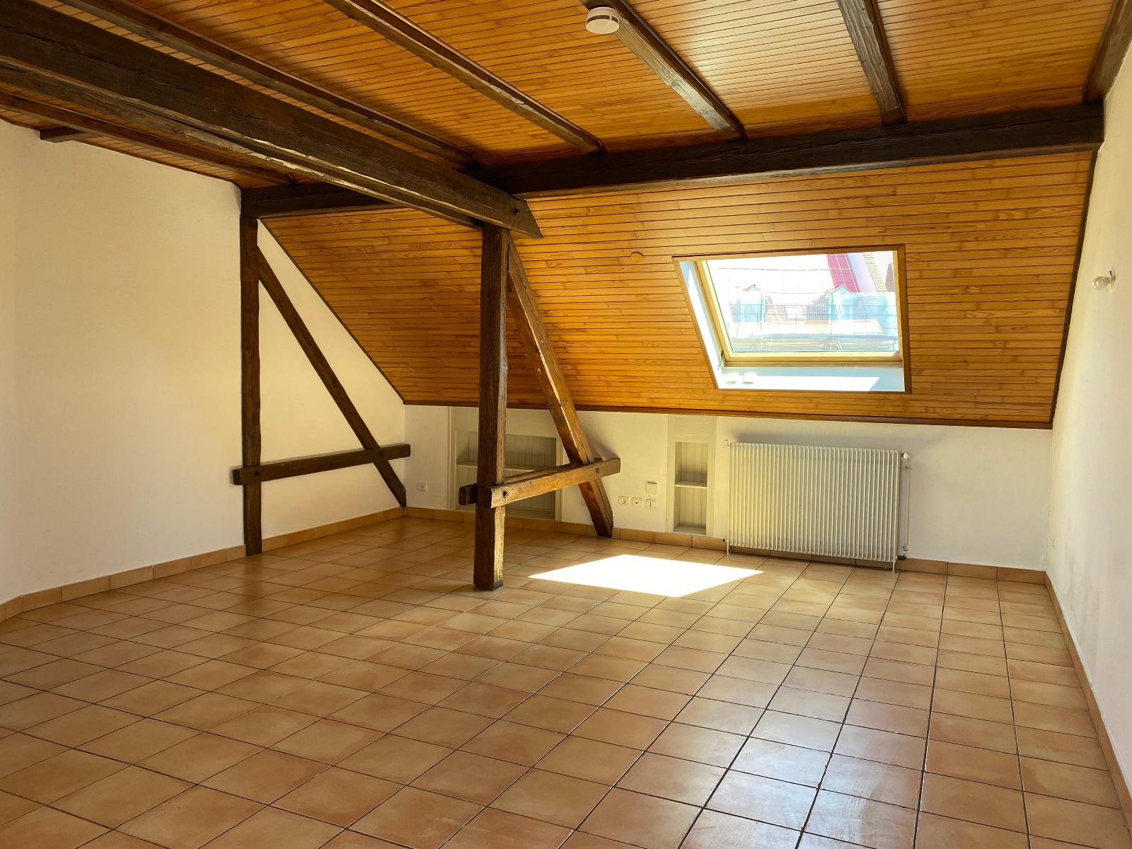 Appartement - STRASBOURG