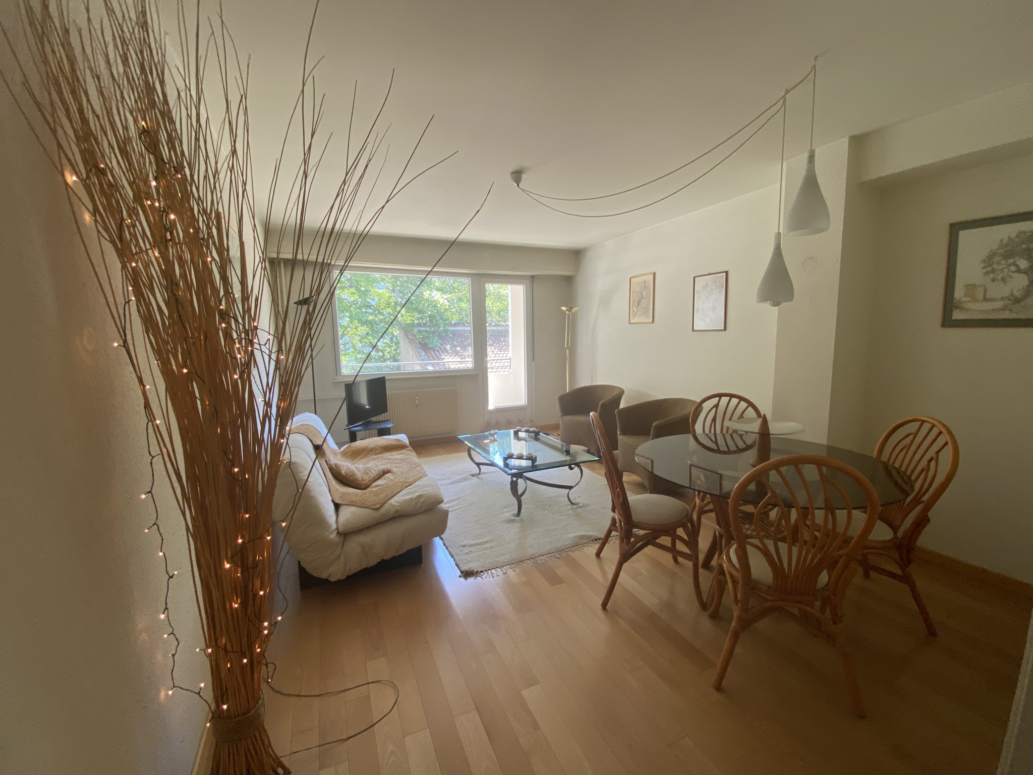 Appartement - Strasbourg