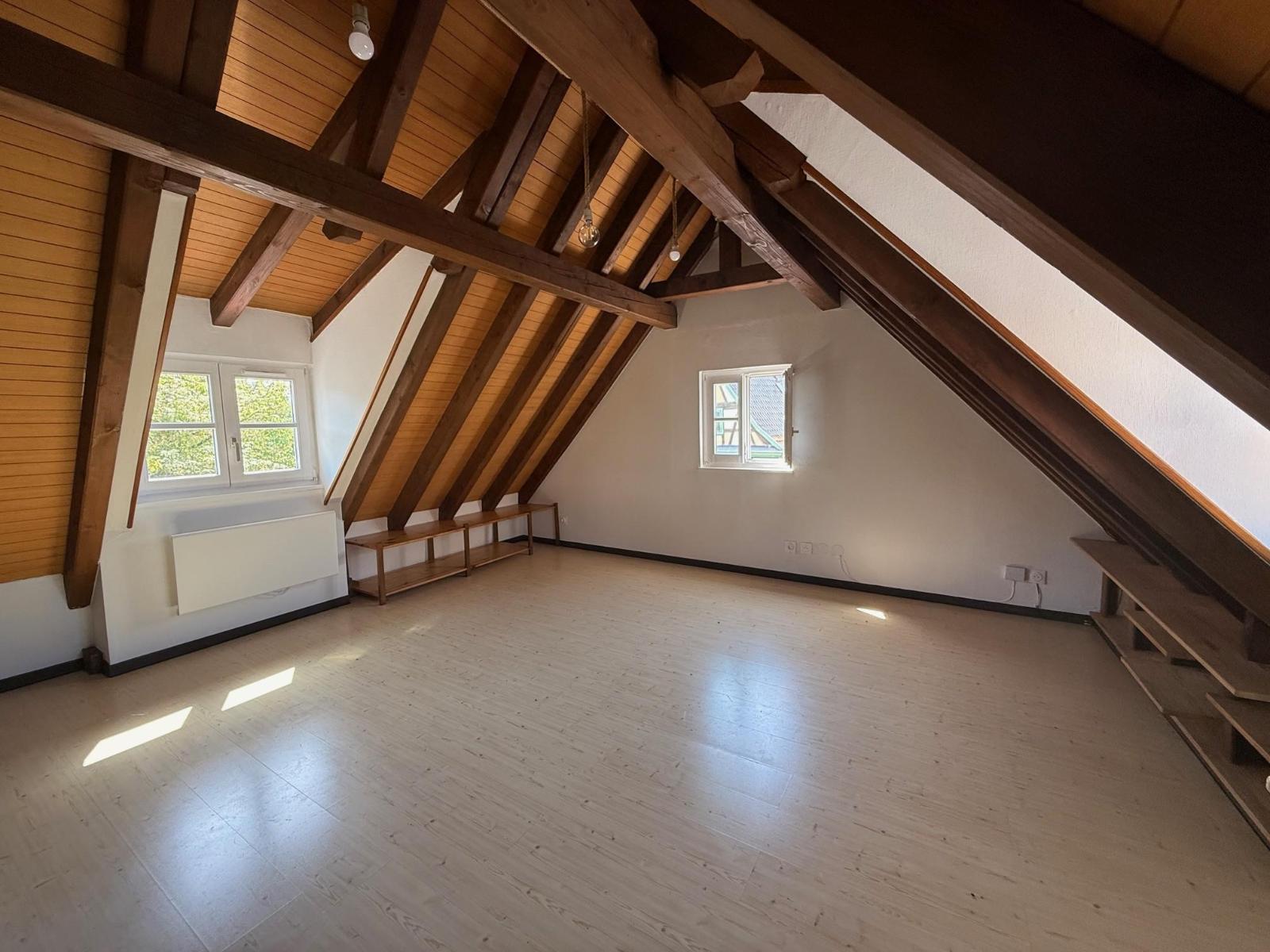 Appartement - SCHILTIGHEIM