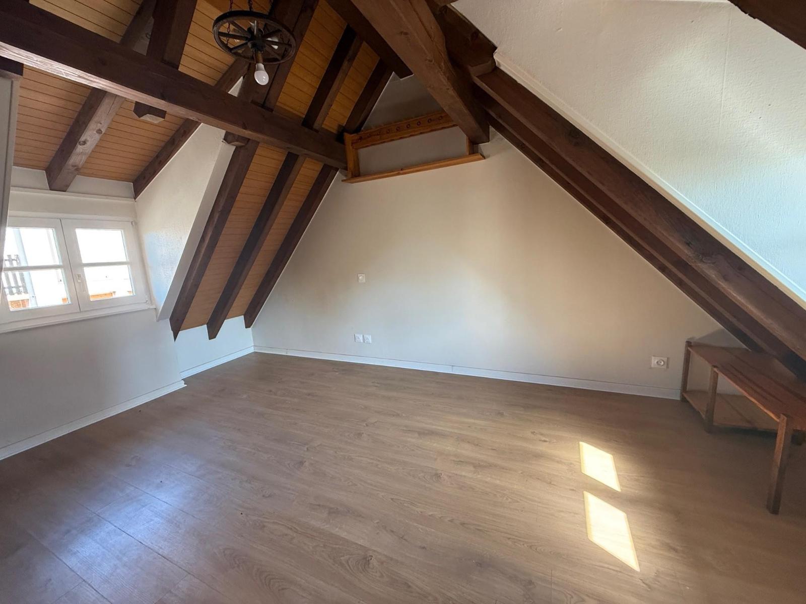 Appartement - SCHILTIGHEIM
