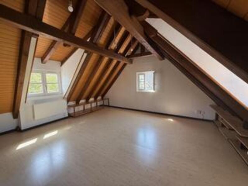 Location Appartement SCHILTIGHEIM