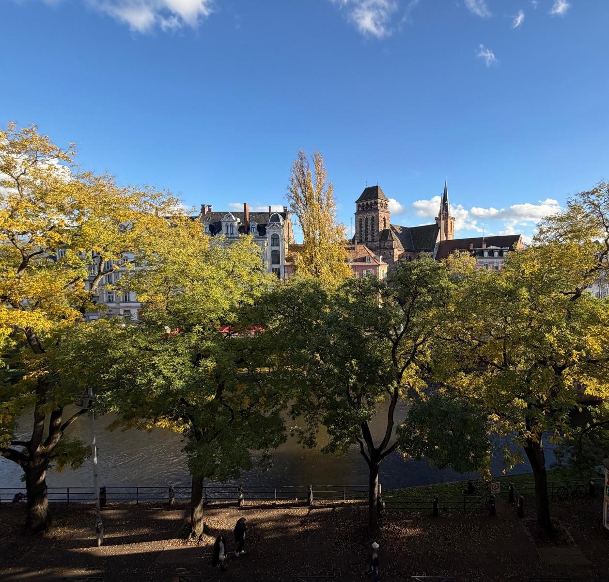 Appartement - STRASBOURG