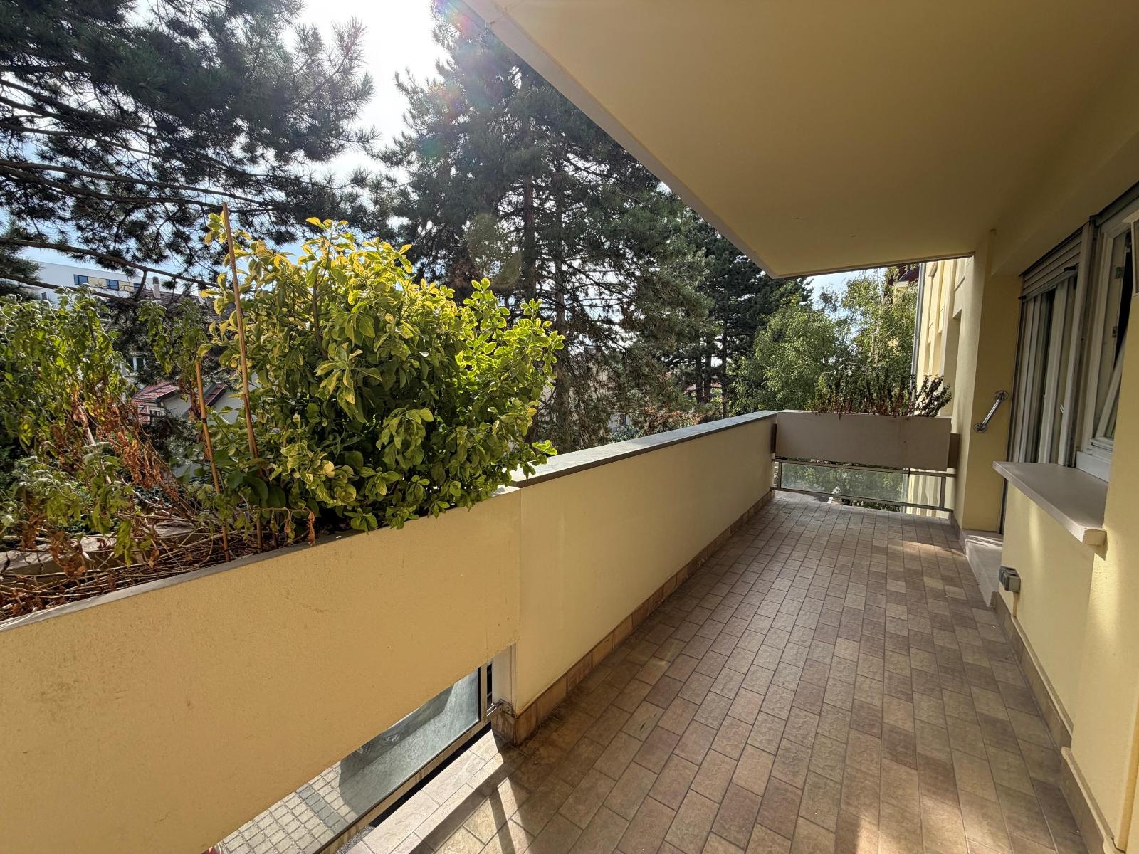Appartement - SCHILTIGHEIM